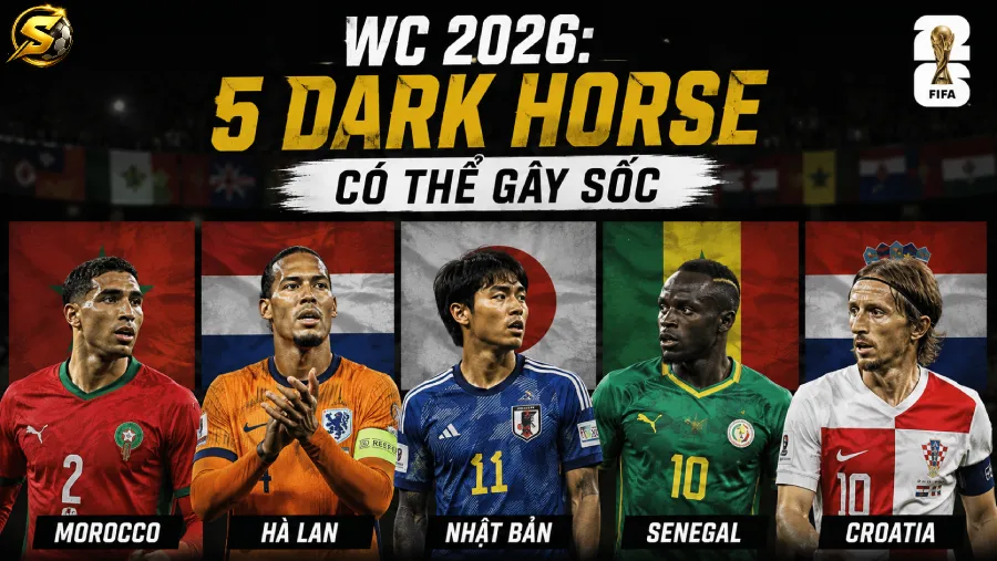 WC 2026: 5 dark horse có thể gây sốc — Morocco, Hà Lan, Nhật Bản, Senegal, Croatia